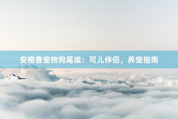 安格鲁宠物狗尾续：可儿伴侣，养宠指南